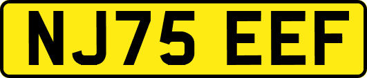 NJ75EEF