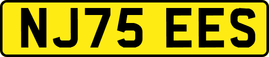 NJ75EES