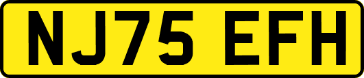 NJ75EFH