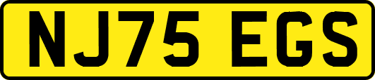 NJ75EGS