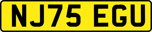 NJ75EGU