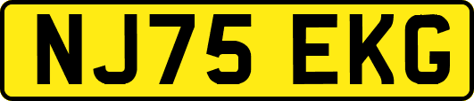 NJ75EKG
