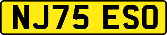 NJ75ESO