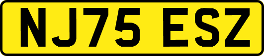 NJ75ESZ