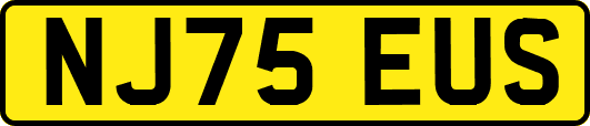 NJ75EUS