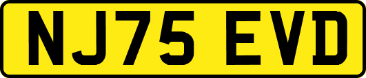 NJ75EVD