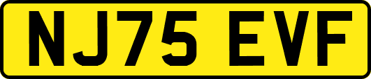 NJ75EVF