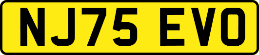 NJ75EVO