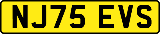 NJ75EVS