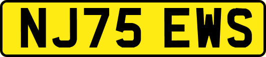NJ75EWS
