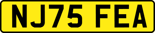 NJ75FEA