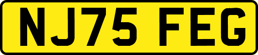 NJ75FEG