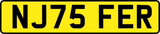 NJ75FER