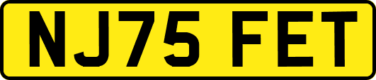 NJ75FET