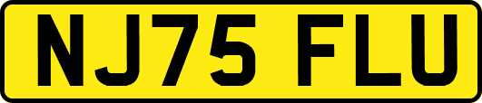 NJ75FLU