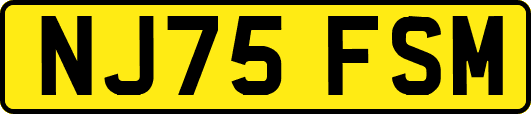 NJ75FSM
