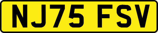 NJ75FSV