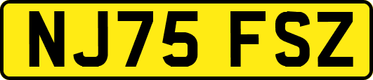 NJ75FSZ