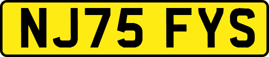 NJ75FYS