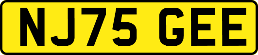 NJ75GEE