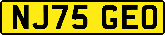 NJ75GEO