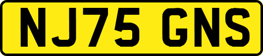 NJ75GNS