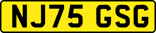NJ75GSG