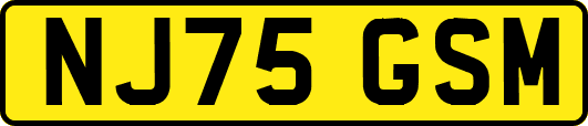 NJ75GSM