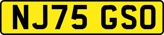 NJ75GSO