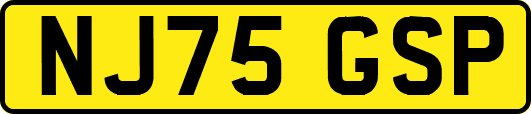 NJ75GSP