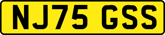 NJ75GSS