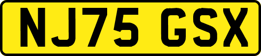 NJ75GSX
