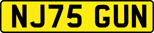 NJ75GUN