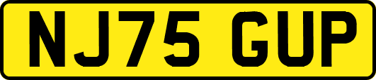 NJ75GUP