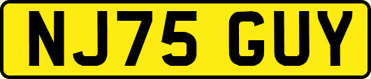 NJ75GUY
