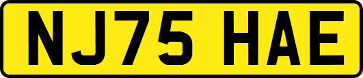 NJ75HAE
