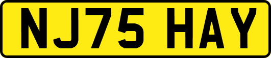 NJ75HAY