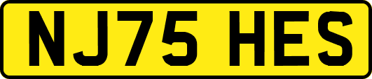 NJ75HES