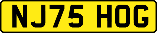 NJ75HOG