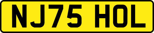 NJ75HOL