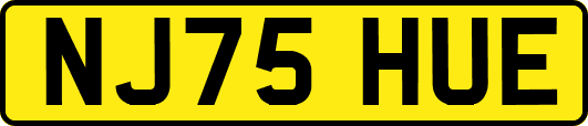 NJ75HUE