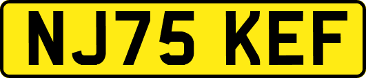 NJ75KEF
