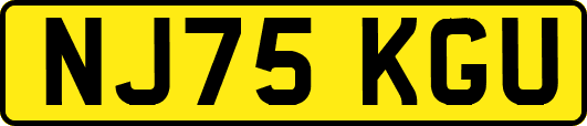 NJ75KGU