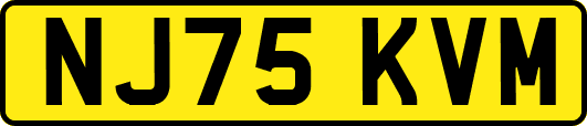NJ75KVM
