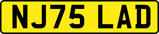 NJ75LAD