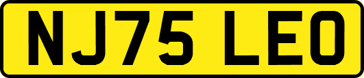 NJ75LEO