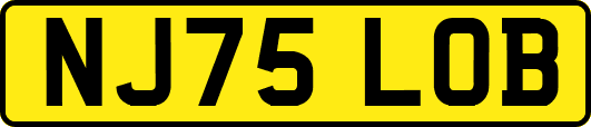 NJ75LOB