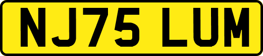 NJ75LUM