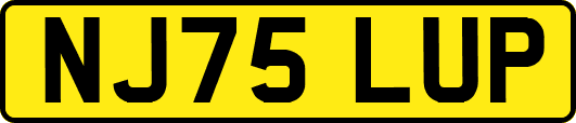 NJ75LUP