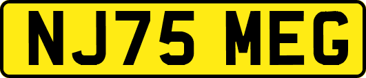 NJ75MEG